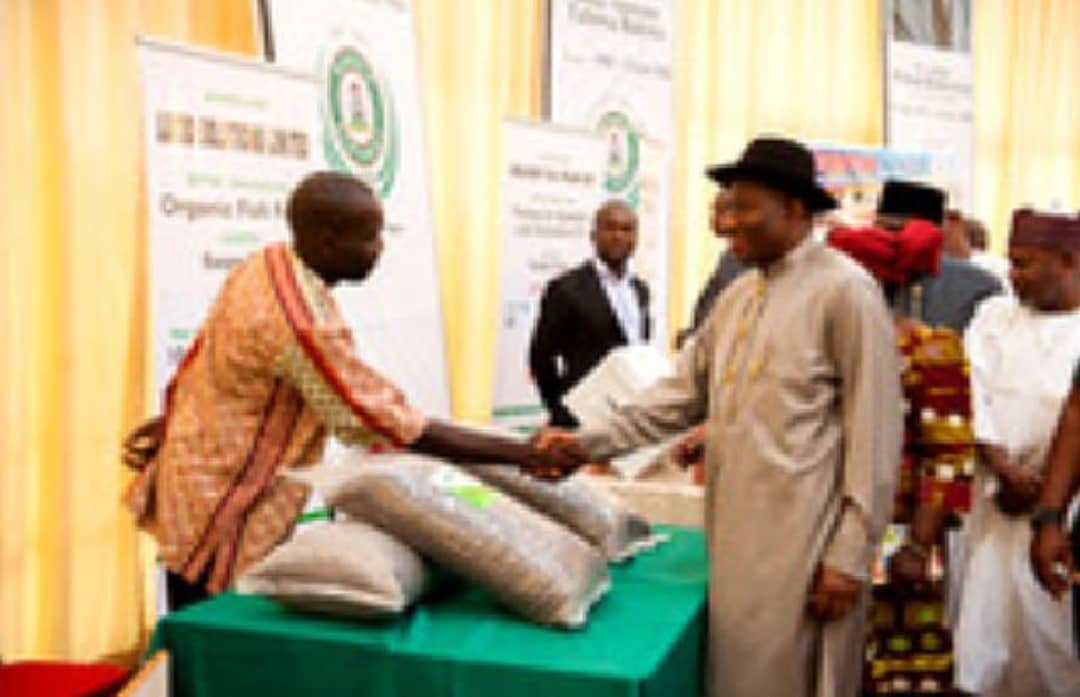 President Goodluck Jonathan inspecting our organic fish feed, at the State House, Abuja